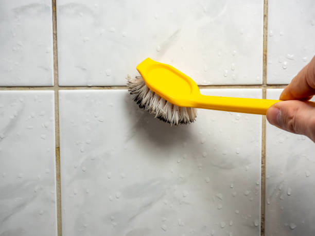 Best Mold Remediation  in Sunray, TX
