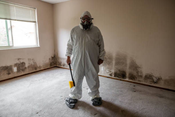 Best Office Mold Removal Services  in Sunray, TX